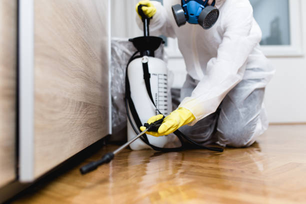 Best Affordable Pest Control Services  in South Connellsville, PA
