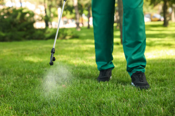 Best Pest Control Near Me  in South Connellsville, PA